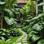 Outdoor Plants