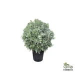 silver damas ball shape