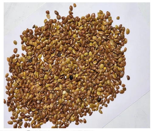 Prosopis Cineraria Seed 100g